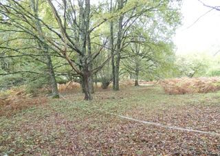  Terrain 3204 m� Panazol