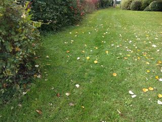  Terrain � vendre 300 m�