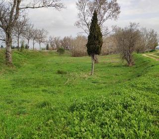  Maison � vendre 4 pi�ces 85 m�