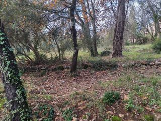  Terrain � vendre 1882 m�