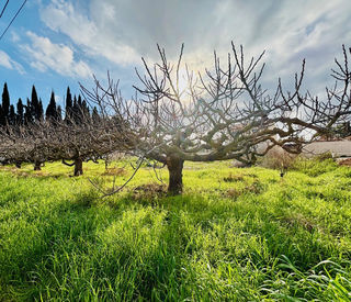  Terrain � vendre 711 m�