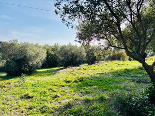  Terrain � vendre 540 m�