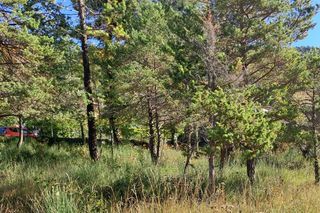  Terrain � vendre 830 m�