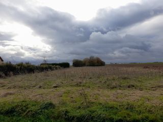  Terrain � vendre 981 m�