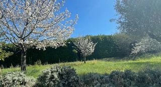  Maison 5 pi�ces 120 m� Pompertuzat