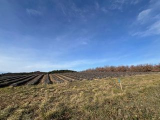  Maison � vendre 4 pi�ces 95 m�