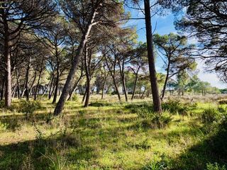  Terrain � vendre 2150 m�