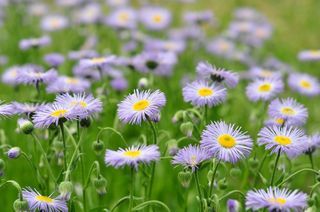  Terrain � vendre 580 m�