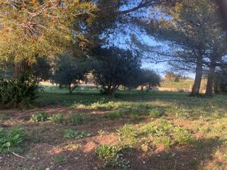  Terrain � vendre 664 m�