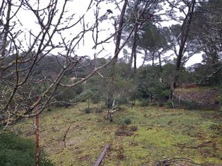  Terrain � vendre 1000 m�