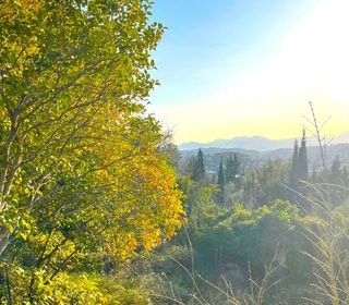  Terrain � vendre 1850 m�