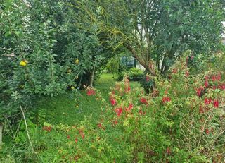  Maison � vendre 6 pi�ces 163 m�