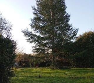  Terrain � vendre 1117 m�