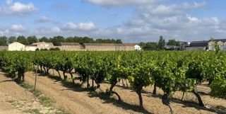  Terrain � vendre 534 m�