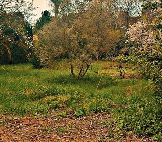  Terrain � vendre 515 m�