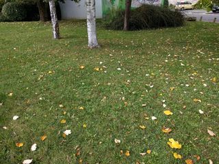  Terrain � vendre 429 m�