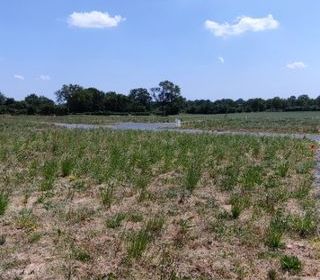  Terrain � vendre 467 m�