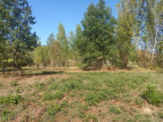  Maison � vendre 6 pi�ces 101 m�