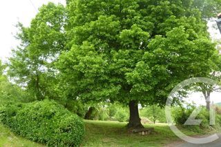  Maison 5 pi�ces 103 m� Laffite-toupi�re