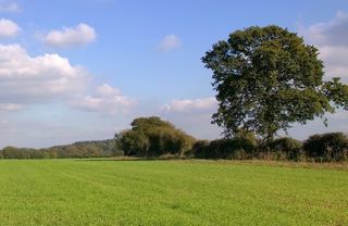  Terrain 400 m� Orgerus