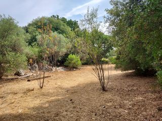  Terrain � vendre 970 m�