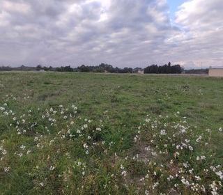  Terrain � vendre 300 m�