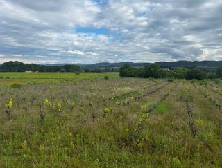  Terrain � vendre 401 m�