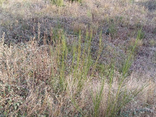  Terrain � vendre 605 m�