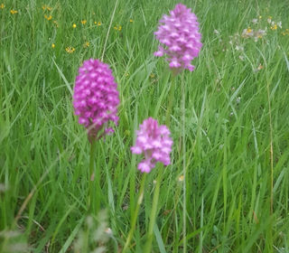  Maison � vendre 6 pi�ces 117 m�