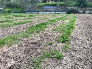  Terrain � vendre 1455 m�