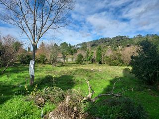  Terrain � vendre 503 m�