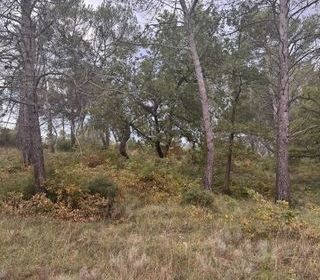  Maison � vendre 5 pi�ces 90 m�