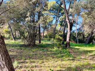  Terrain � vendre 500 m�