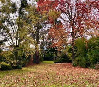  Terrain � vendre 424 m�