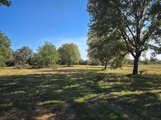  Terrain 503 m� Seysses