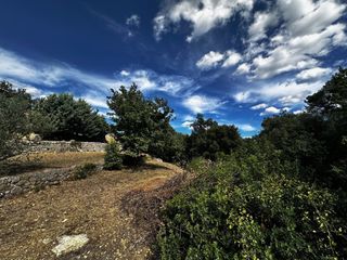  Terrain 1589 m� Lorgues