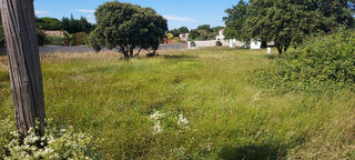  Maison 6 pi�ces 115 m� Beaumettes