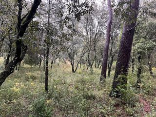  Terrain � vendre 1807 m�