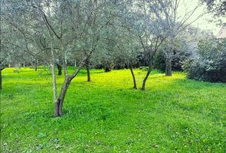  Maison 6 pi�ces 115 m� Draguignan