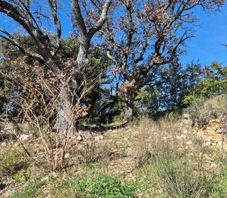  Terrain � vendre 804 m�