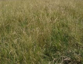  Maison � vendre 5 pi�ces 90 m�