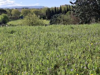  Terrain � vendre 435 m�