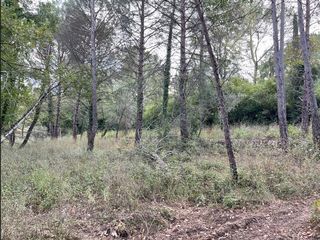  Terrain � vendre 2256 m�