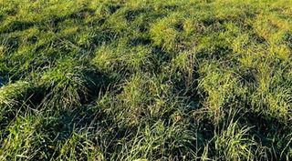  Maison � vendre 4 pi�ces 146 m�