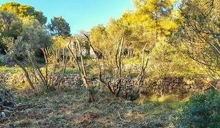  Terrain � vendre 442 m�