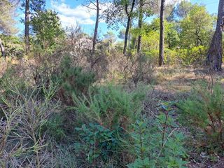  Maison � vendre 4 pi�ces 77 m�