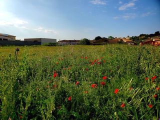  Terrain � vendre 426 m�