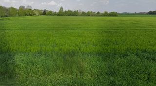  Terrain 512 m� Schlierbach