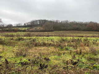  Terrain � vendre 303 m�