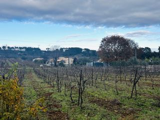  Terrain � vendre 1000 m�